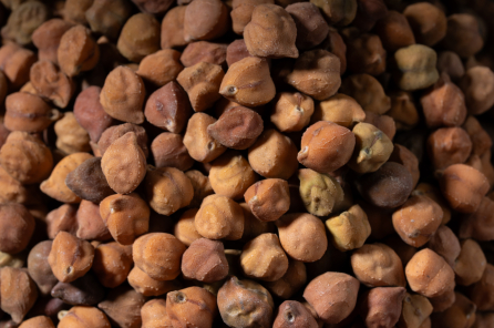 Black Gram Seeds